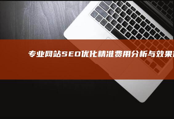 专业网站SEO优化：精准费用分析与效果保障